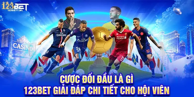 Cược đối đầu là gì