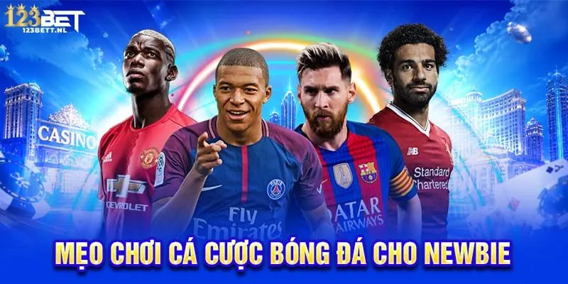 Mẹo chơi cá cược bóng đá cho newbie